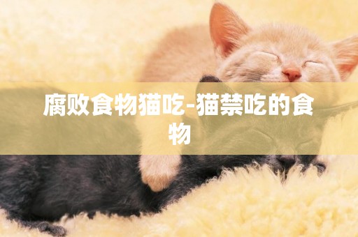 腐敗食物貓吃-貓禁吃的食物