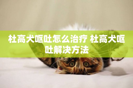 杜高犬嘔吐怎么治療 杜高犬嘔吐解決方法