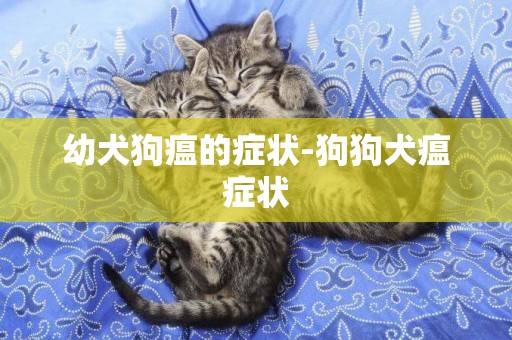 幼犬狗瘟的癥狀-狗狗犬瘟癥狀