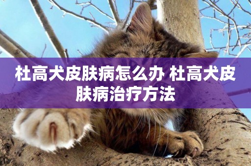 杜高犬皮膚病怎么辦 杜高犬皮膚病治療方法