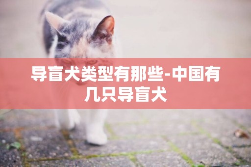 導盲犬類型有那些-中國有幾只導盲犬