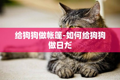 給狗狗做帳篷-如何給狗狗做日だ