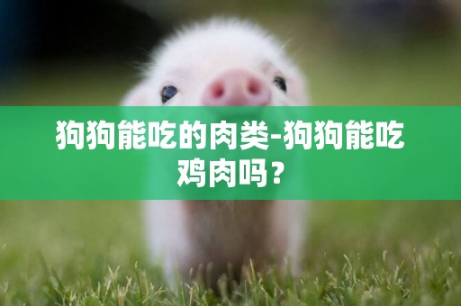 狗狗能吃的肉類-狗狗能吃雞肉嗎？