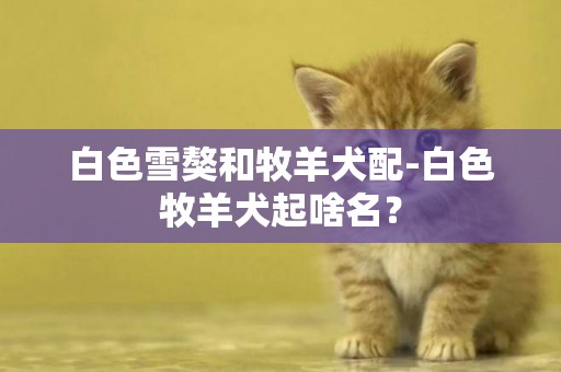 白色雪獒和牧羊犬配-白色牧羊犬起啥名？