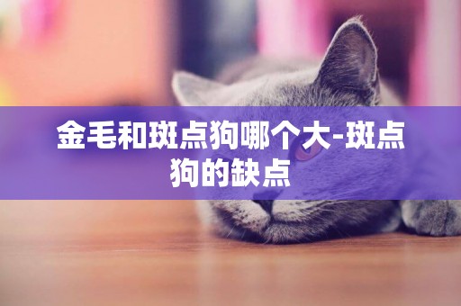 金毛和斑點狗哪個大-斑點狗的缺點
