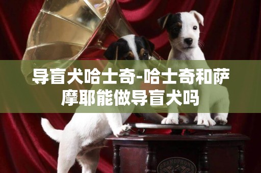 導盲犬哈士奇-哈士奇和薩摩耶能做導盲犬嗎