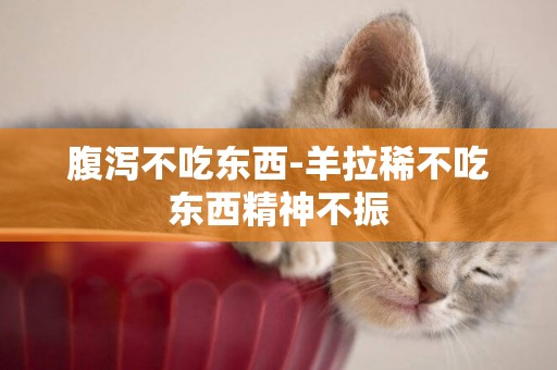 腹瀉不吃東西-羊拉稀不吃東西精神不振