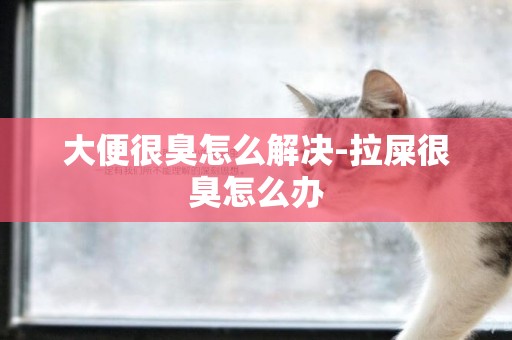 大便很臭怎么解決-拉屎很臭怎么辦