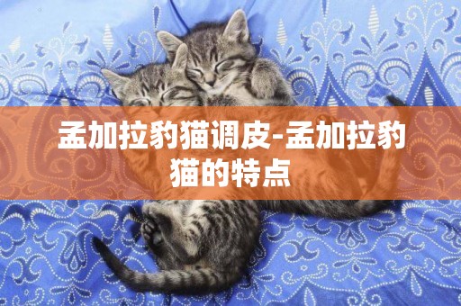 孟加拉豹貓調皮-孟加拉豹貓的特點