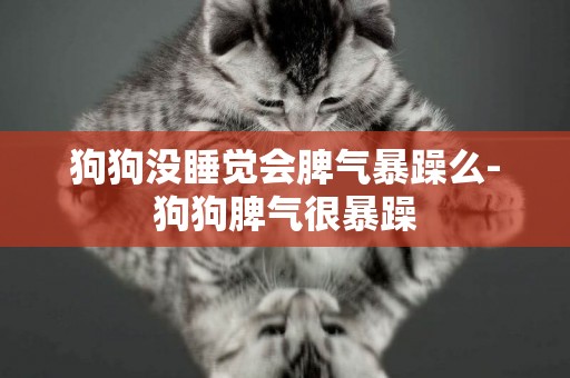 狗狗沒睡覺會脾氣暴躁么-狗狗脾氣很暴躁
