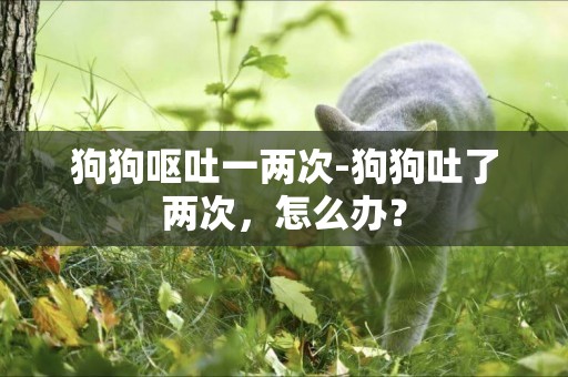 狗狗嘔吐一兩次-狗狗吐了兩次，怎么辦？