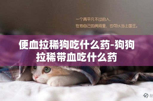 便血拉稀狗吃什么藥-狗狗拉稀帶血吃什么藥
