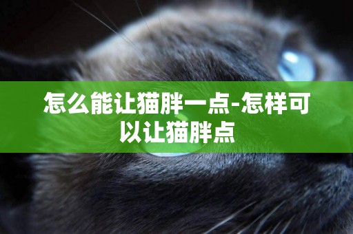 怎么能讓貓胖一點-怎樣可以讓貓胖點