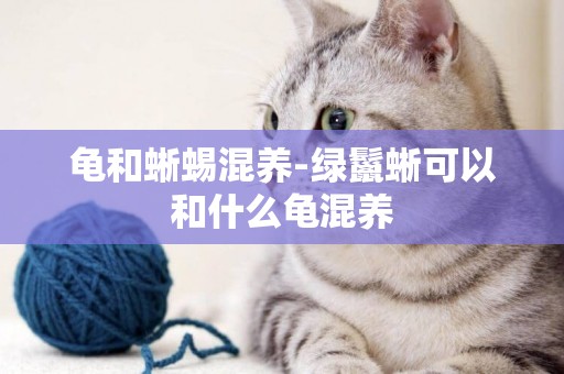 龜和蜥蜴混養-綠鬣蜥可以和什么龜混養