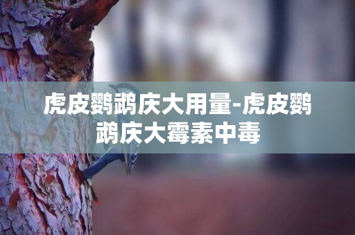 虎皮鸚鵡慶大用量-虎皮鸚鵡慶大霉素中毒