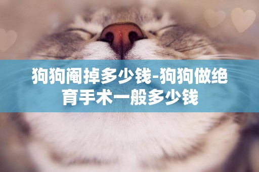 狗狗閹掉多少錢-狗狗做絕育手術一般多少錢