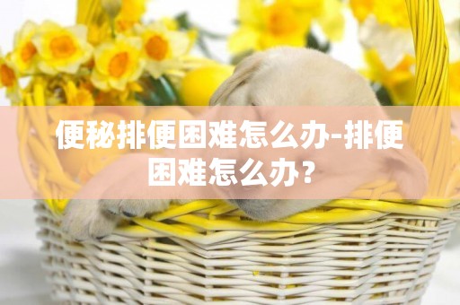 便秘排便困難怎么辦-排便困難怎么辦？
