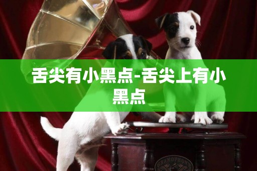 舌尖有小黑點-舌尖上有小黑點