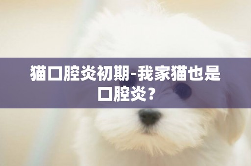 貓口腔炎初期-我家貓也是口腔炎？