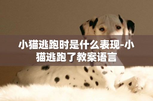 小貓逃跑時是什么表現-小貓逃跑了教案語言
