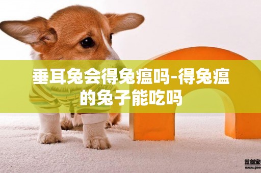 垂耳兔會得兔瘟嗎-得兔瘟的兔子能吃嗎