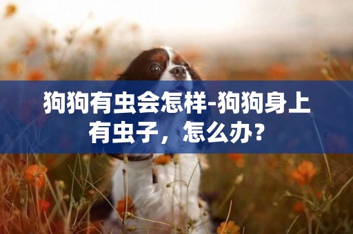 狗狗有蟲會怎樣-狗狗身上有蟲子，怎么辦？