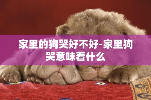 家里的狗哭好不好-家里狗哭意味著什么