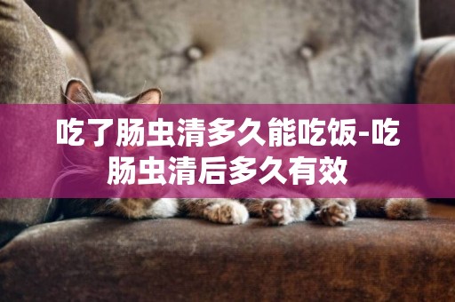 吃了腸蟲清多久能吃飯-吃腸蟲清后多久有效