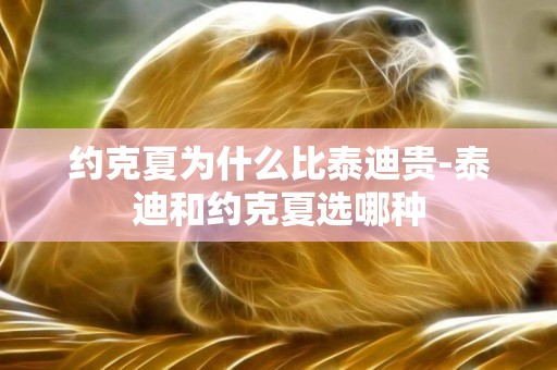 約克夏為什么比泰迪貴-泰迪和約克夏選哪種