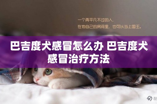 巴吉度犬感冒怎么辦 巴吉度犬感冒治療方法