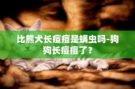 比熊犬長痘痘是螨蟲嗎-狗狗長痘痘了？