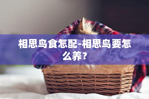 相思鳥食怎配-相思鳥要怎么養？