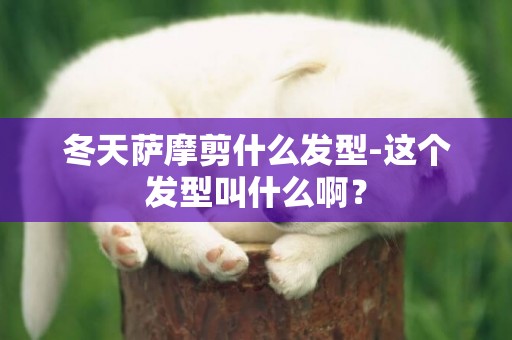 冬天薩摩剪什么發型-這個發型叫什么啊？