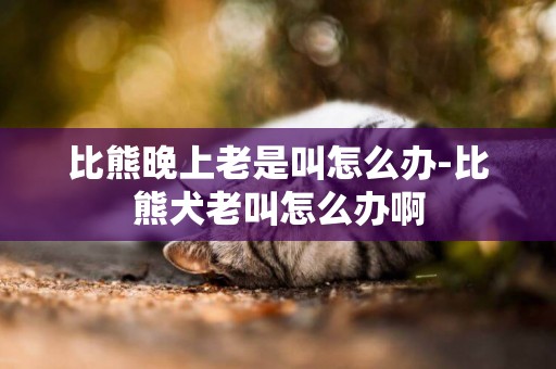 比熊晚上老是叫怎么辦-比熊犬老叫怎么辦啊