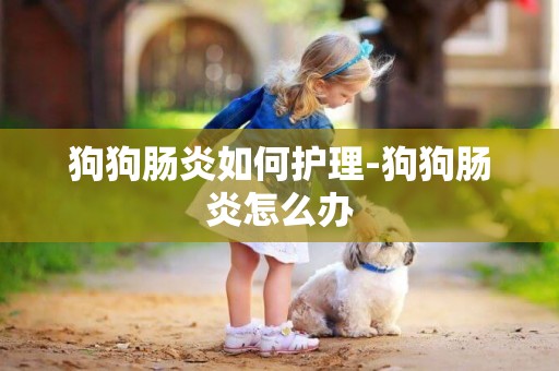 狗狗腸炎如何護理-狗狗腸炎怎么辦