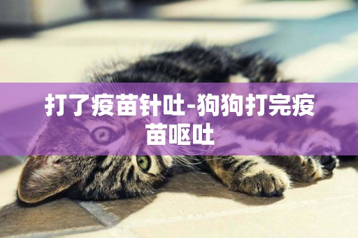 打了疫苗針吐-狗狗打完疫苗嘔吐