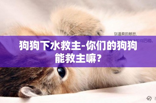 狗狗下水救主-你們的狗狗能救主嘛？