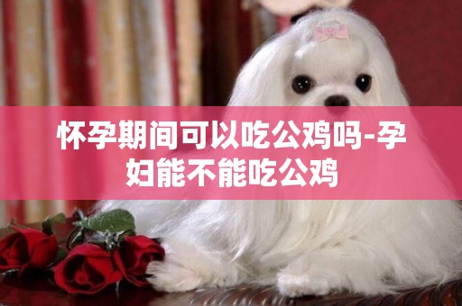 懷孕期間可以吃公雞嗎-孕婦能不能吃公雞