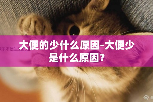 大便的少什么原因-大便少是什么原因？