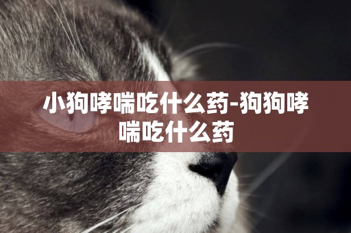 小狗哮喘吃什么藥-狗狗哮喘吃什么藥