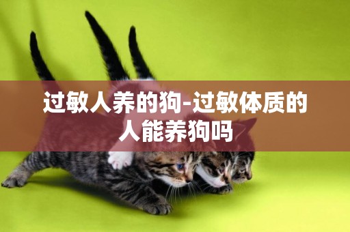 過敏人養的狗-過敏體質的人能養狗嗎