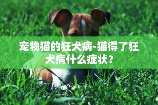 寵物貓的狂犬病-貓得了狂犬病什么癥狀？
