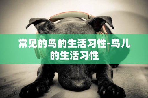 常見的鳥的生活習性-鳥兒的生活習性