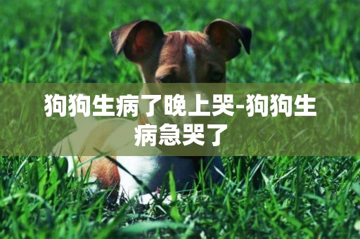 狗狗生病了晚上哭-狗狗生病急哭了