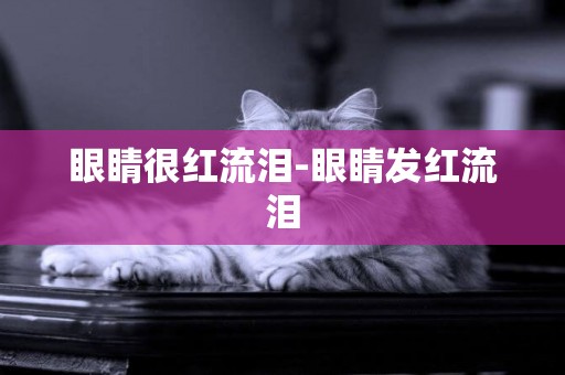 眼睛很紅流淚-眼睛發紅流淚