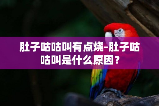 肚子咕咕叫有點燒-肚子咕咕叫是什么原因？