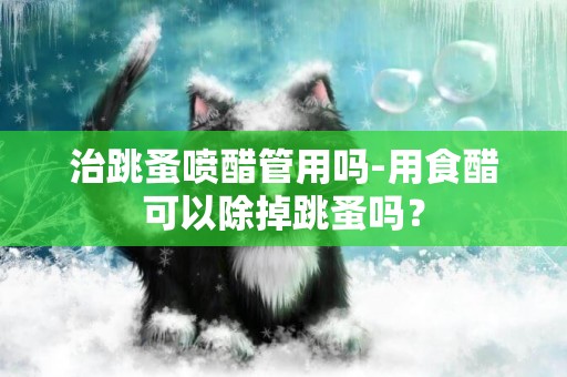治跳蚤噴醋管用嗎-用食醋可以除掉跳蚤嗎？