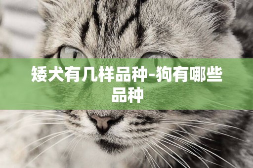 矮犬有幾樣品種-狗有哪些品種