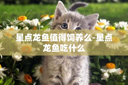 星點龍魚值得飼養么-星點龍魚吃什么