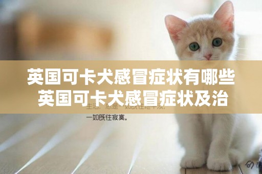 英國可卡犬感冒癥狀有哪些 英國可卡犬感冒癥狀及治療方法